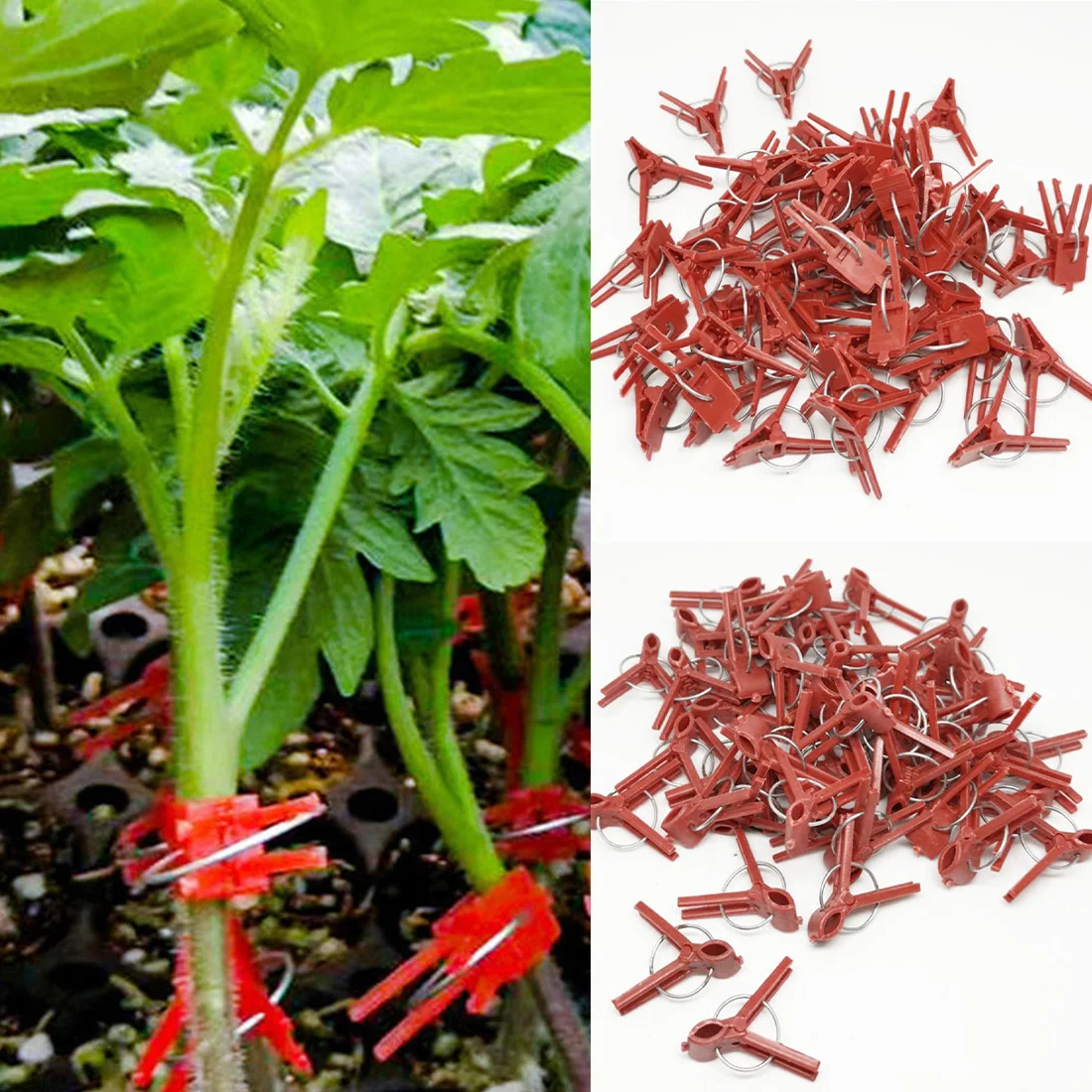 

50PCS Plastic Plant Support Clips Clamps For Plants Hanging Vine Garden Greenhouse Vegetables Tomatoes Clips Garden Graft Clip