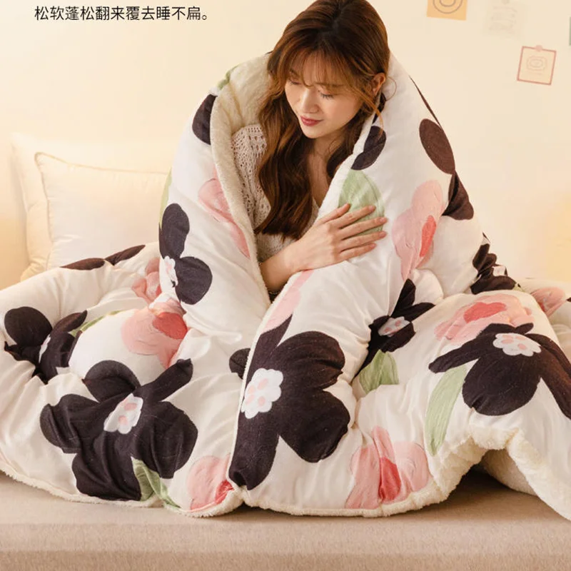 

Quilt winter thickened warm quilt core double-sided plus fleece winter student dormitory spring and autumn bedding