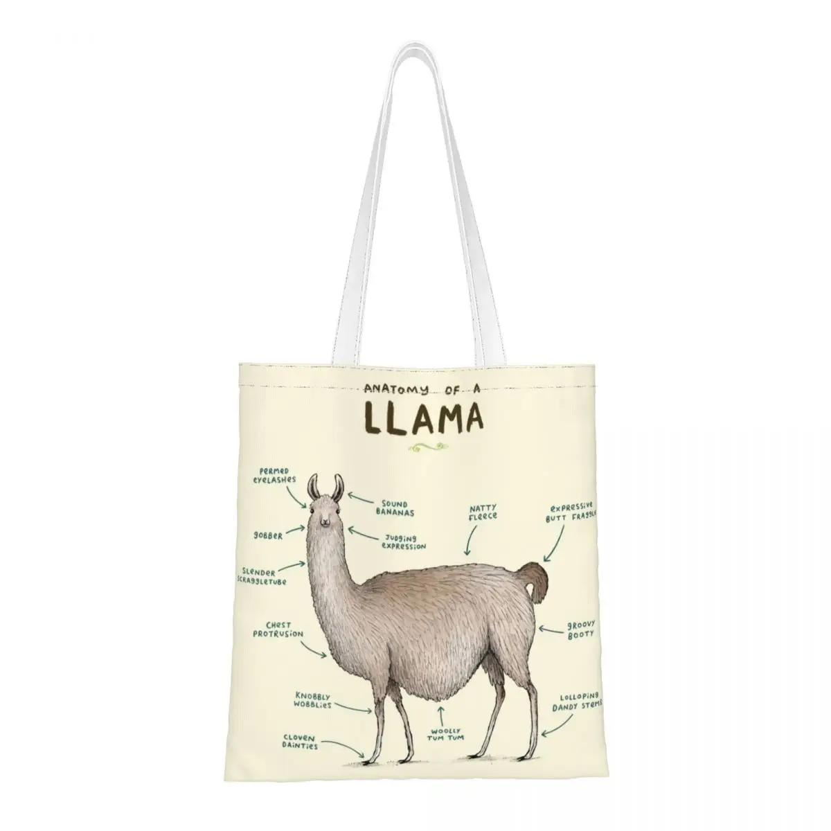 

Anatomy Of A Llama Alpaca Shoulder Bag Female Canvas Tote Bag Aesthetic Animal High Capacity Shopping Tote Foldable Canvas Bag