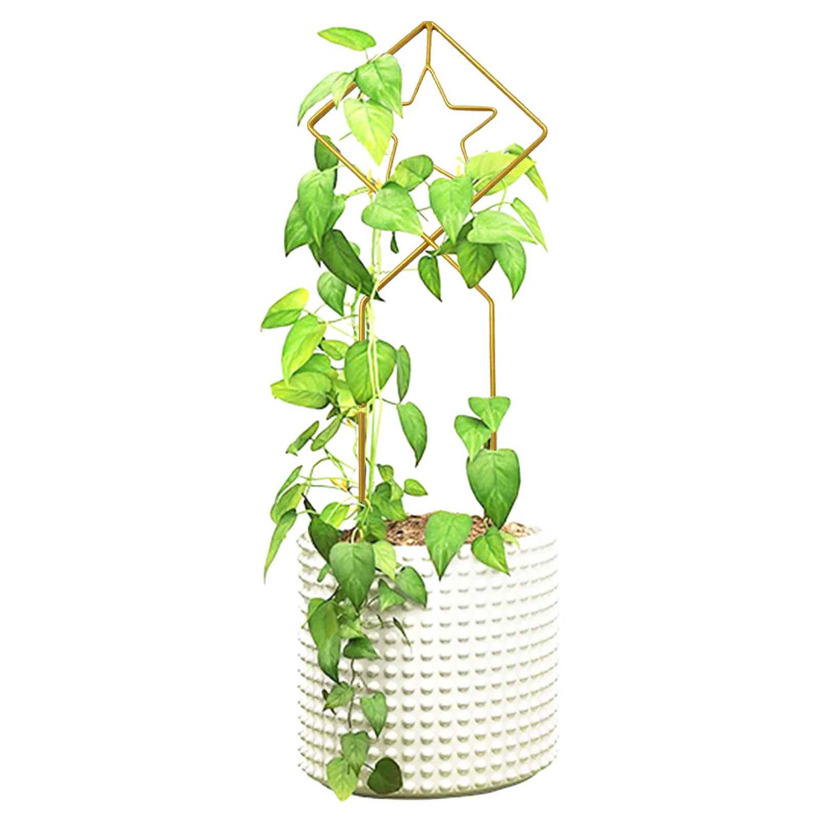 

Решетка для подъема растений, решетка для комнатных горшечных растений, подставка для металлических растений для Pothos Monstera Philodendron