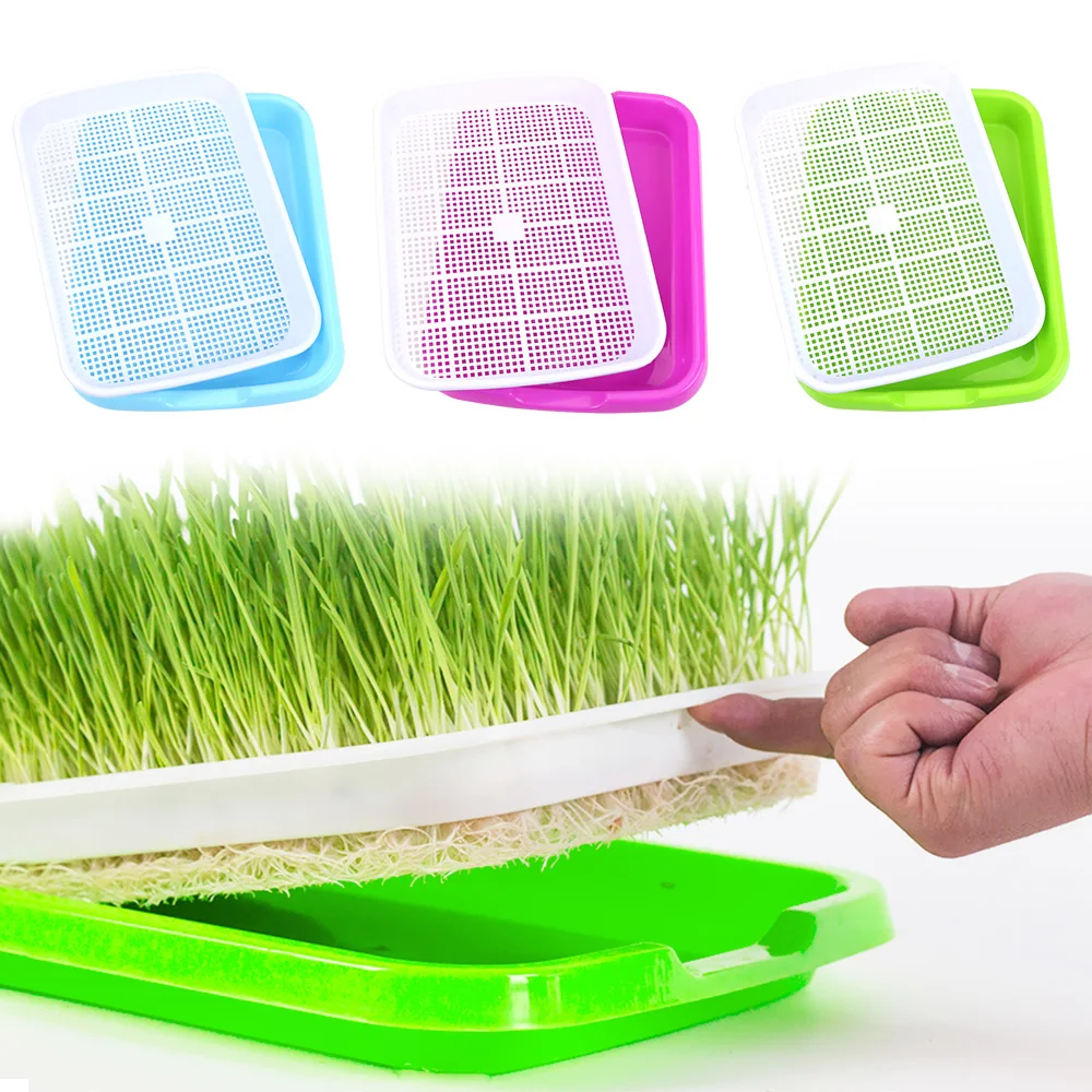 Hydroponics Seedling Tray Home Garden plant tools Plastic Nursery Tray Growing Vegetables seedlings Double Layer Sprout Plate
Hydroponics Seedling Tray Home Garden plant tools Plastic Nursery Tray Growing Vegetables seedlings Double Layer Sprout Plate