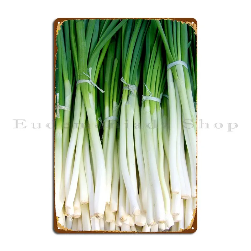 

Металлические знаки с изображением зеленого лука создают таблички с рисунком, фотографический плакат