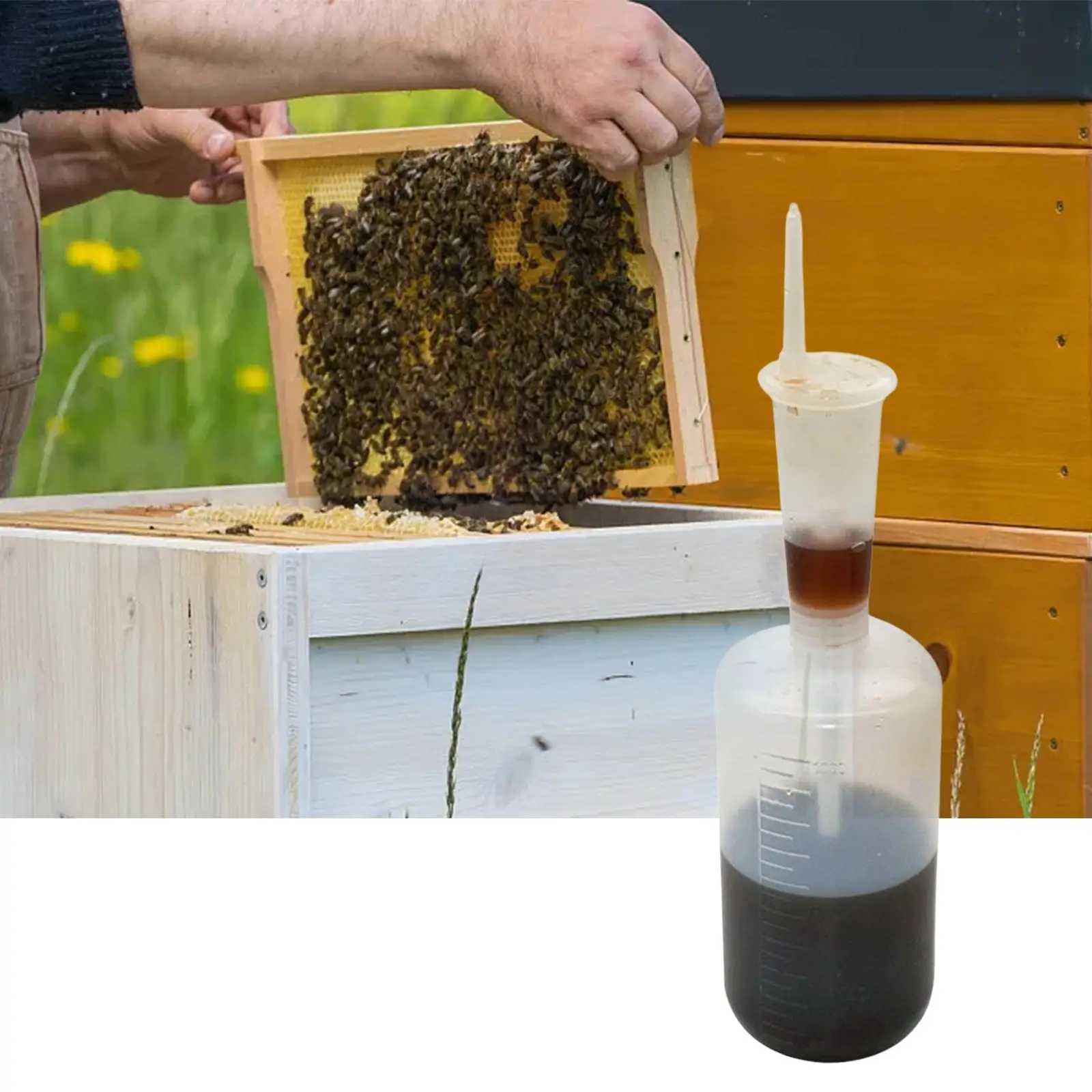 

Шприц для дозировки кислоты оксалиновой кислоты для дозирования пчеловодства для фермы