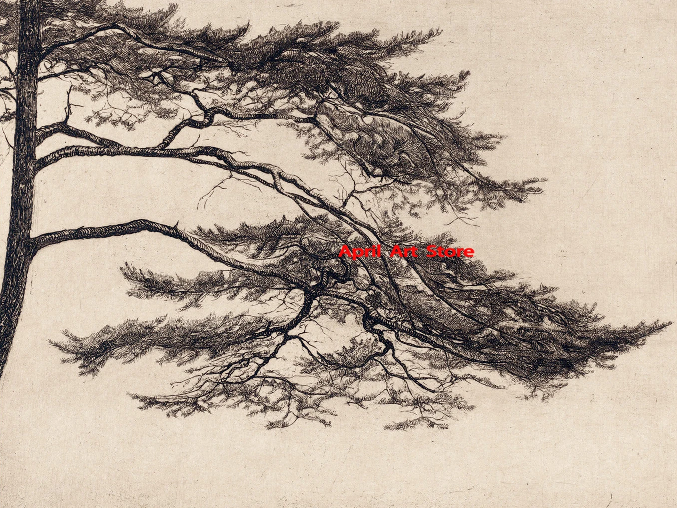 

Винтажные постеры с изображением веток сосны на холсте