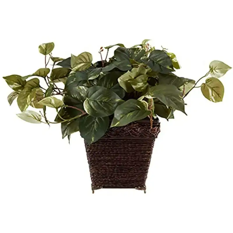 

Pothos with Coiled Rope Planter Polyester Artificial Plant, Green