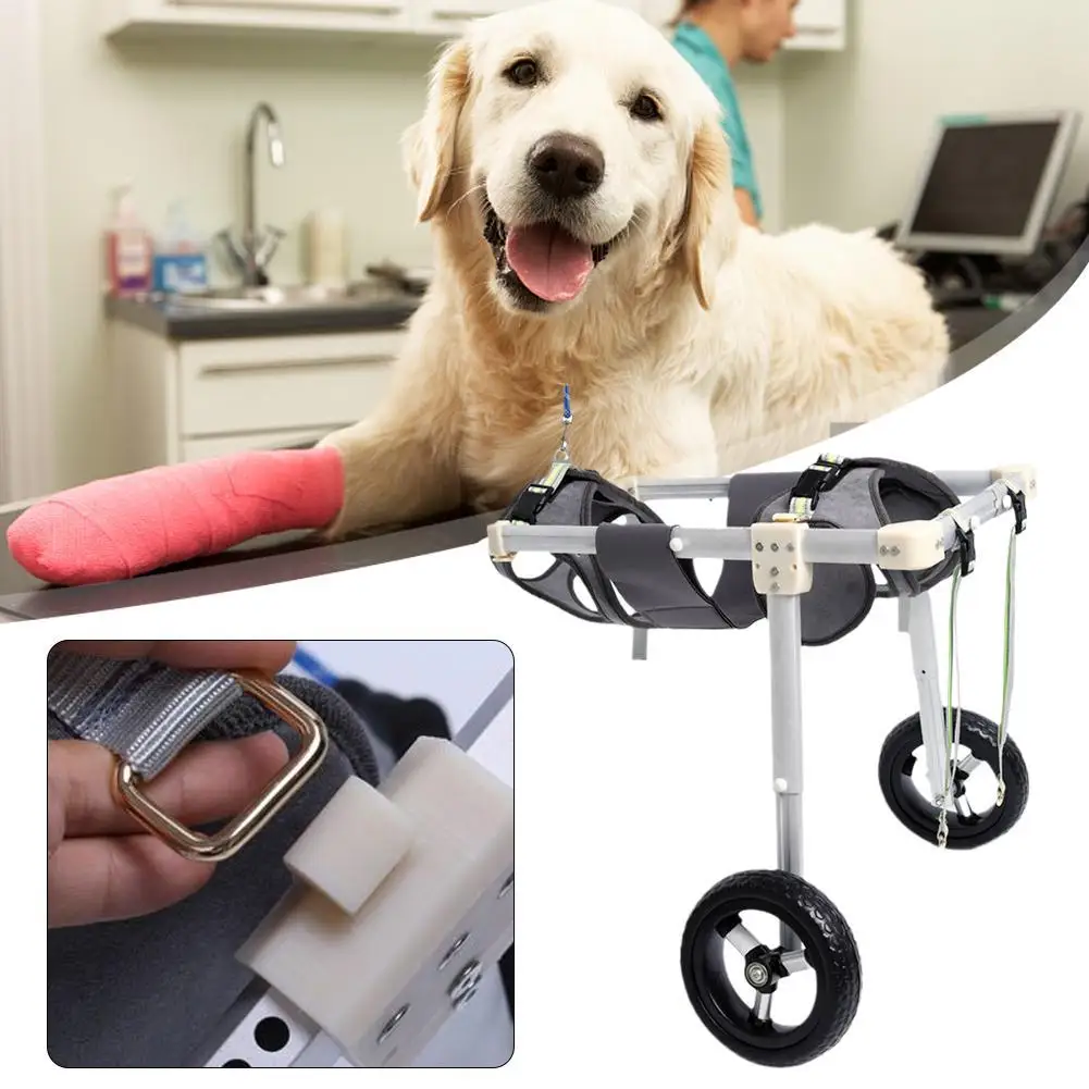 

Pet Rehabilitation Aid Cart Hind Limb Paralysis Rehabilitation Wheelchair Walk Teddy Pet Dog Hind Leg Bracket