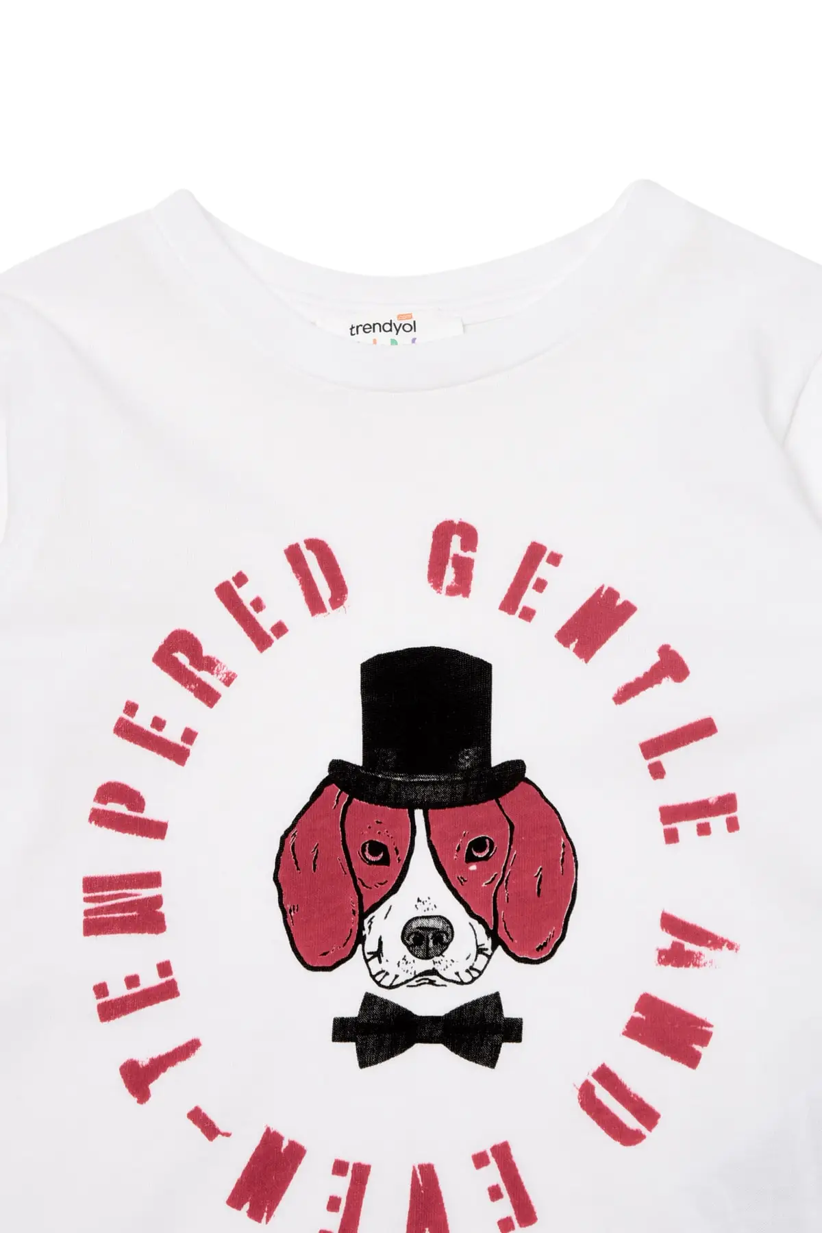 Детская трикотажная футболка с принтом TKDAW22TS0146 | Мужская одежда