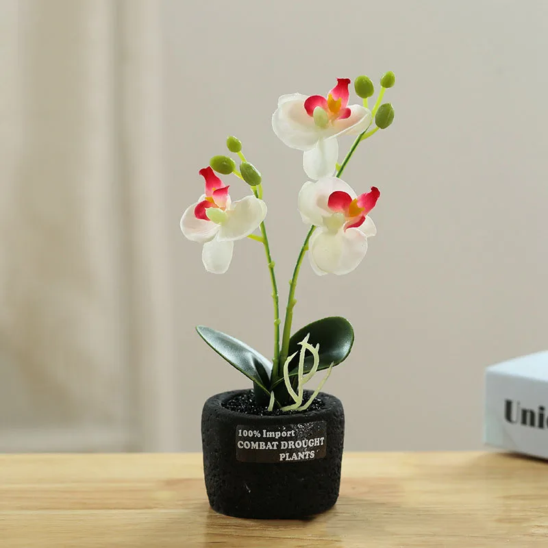 

New Two-pronged Cement Pot Phalaenopsis Bonsai Creative Artificial Ornaments Simulation Flower Factory Direct Supply