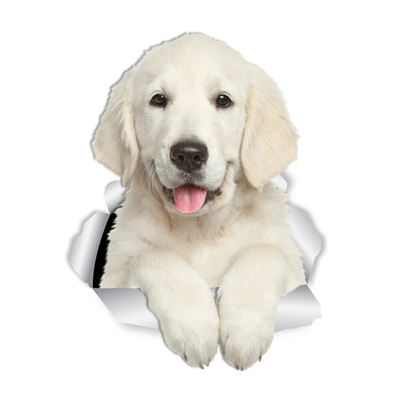 

Gorgeous Golden Retriever Dogs Car Sticker Vinyl Decal Waterproof Accessories on Bumper Rear Window