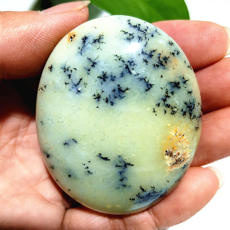 

Зеленый опал дерево EBET