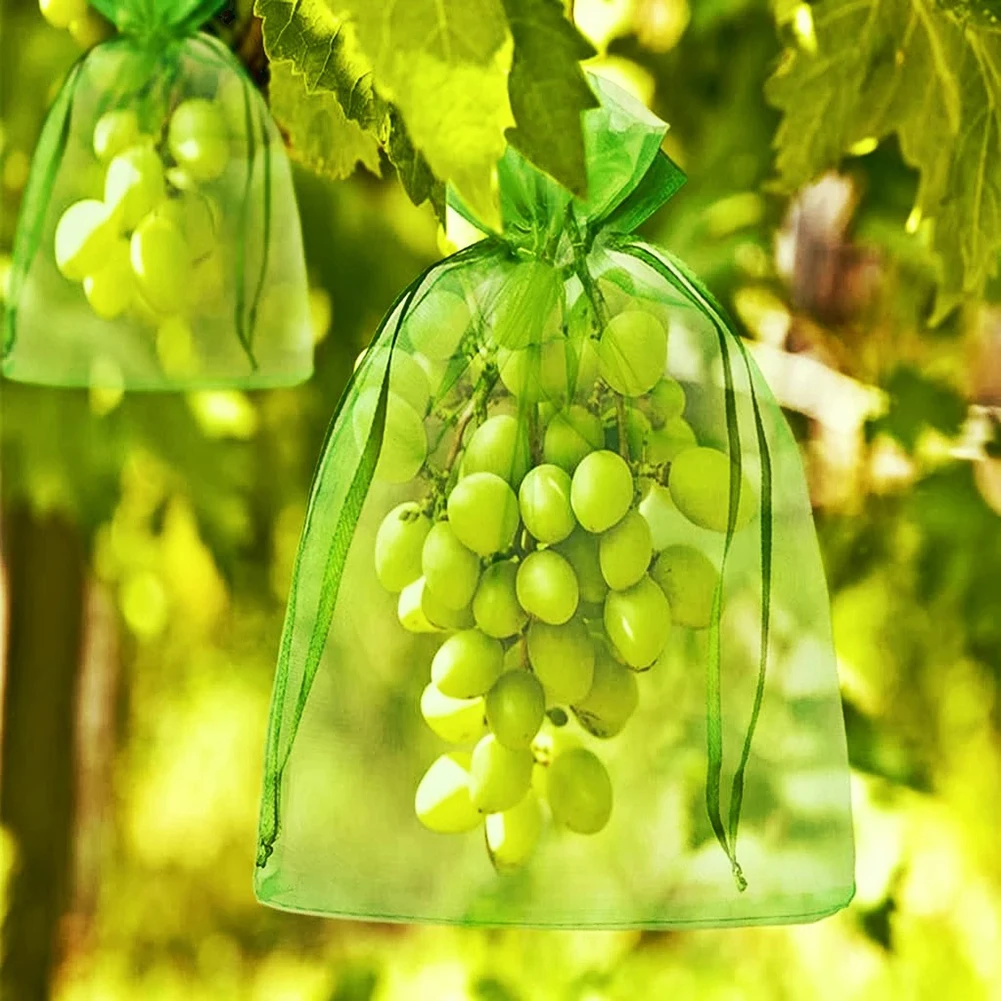 

20pcs Strawberry Grapes Fruit Grow Bags Netting Mesh Vegetable Plant Protection Bags For Pest Control Anti-Bird Garden Tools