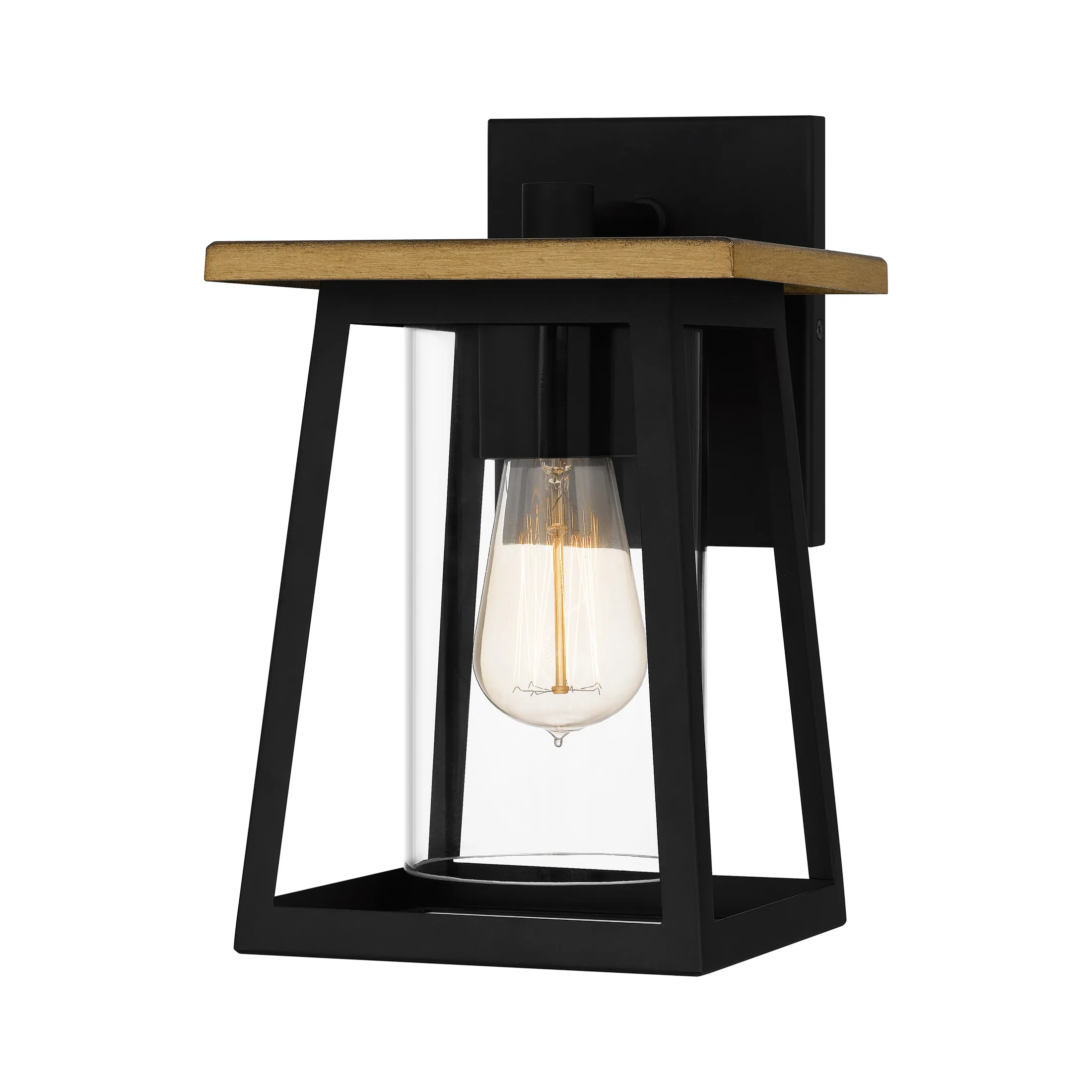 Gunner 1-Light Matte Black Outdoor Wall Lantern