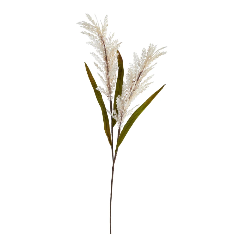 

30" Sorghum Harvest Artificial Flower (Set of 12), White