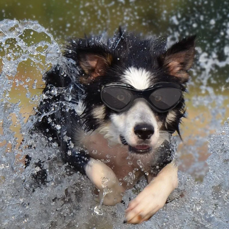 Велосипедный шлем с солнцезащитными очками для собак и кошек |