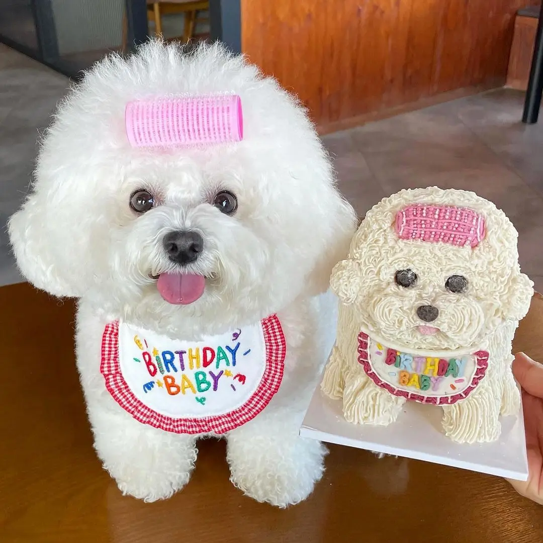 

Puppy Accessories Dog Bib for Birthday Cute Korea Dog Suppliers Cat Bibs