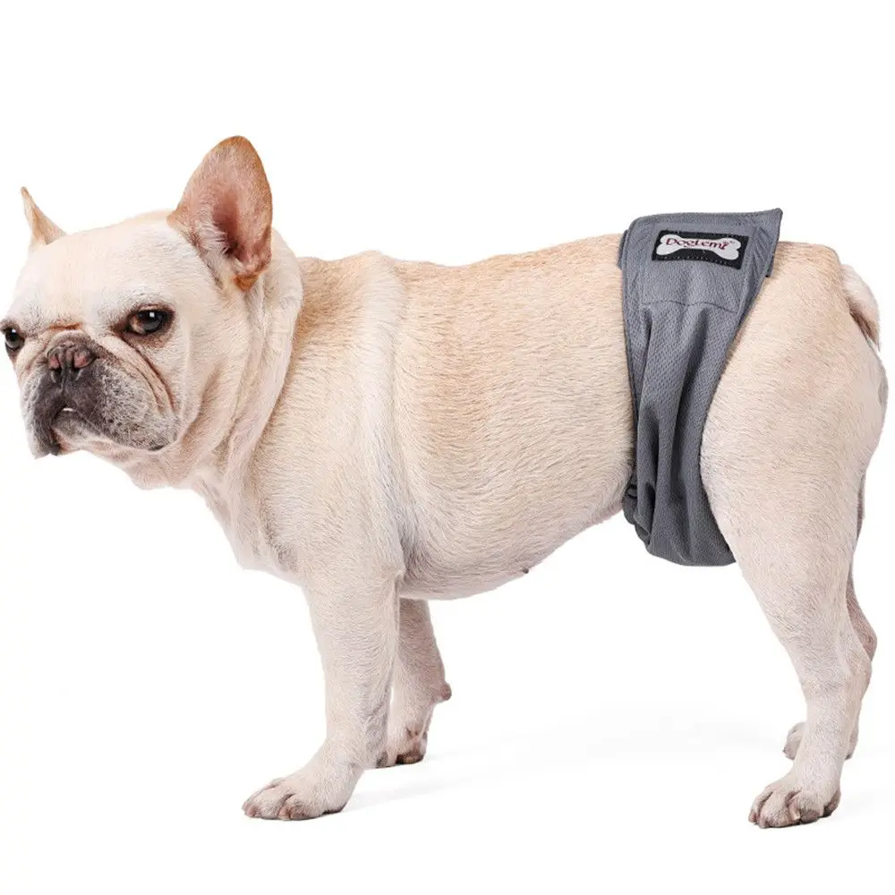 

Водонепроницаемые абсорбирующие эластичные дизайнерские гигиенические брюки, нижнее белье, штаны для домашних животных, дышащие физиологические брюки для собак
