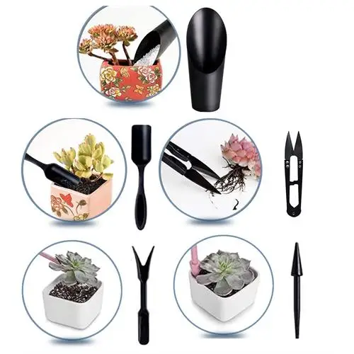 

TRANSFORMACION black succulent cactus planting set