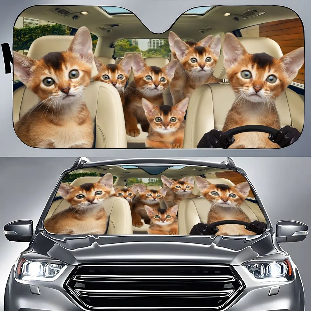 Affenpinscher вождение салона автомобиля переднее лобовое стекло солнцезащитный