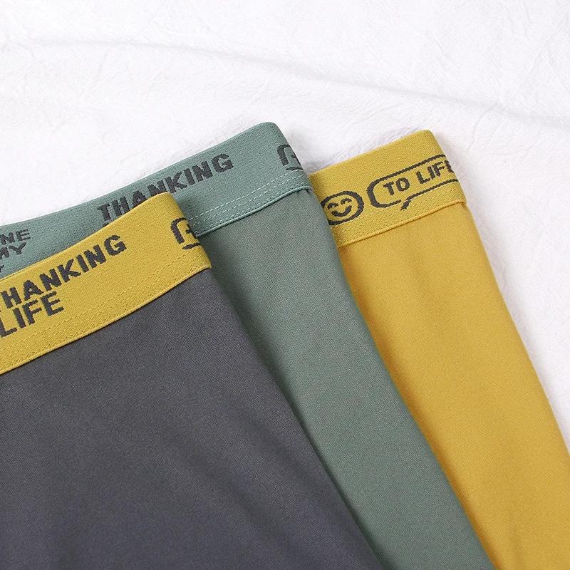 Men's Panties Underwear Antibacterial Briefs Boxer Shorts Pure Cotton Comfort Cuecas Teens Flat-Cut Boys Stretchy Underpants