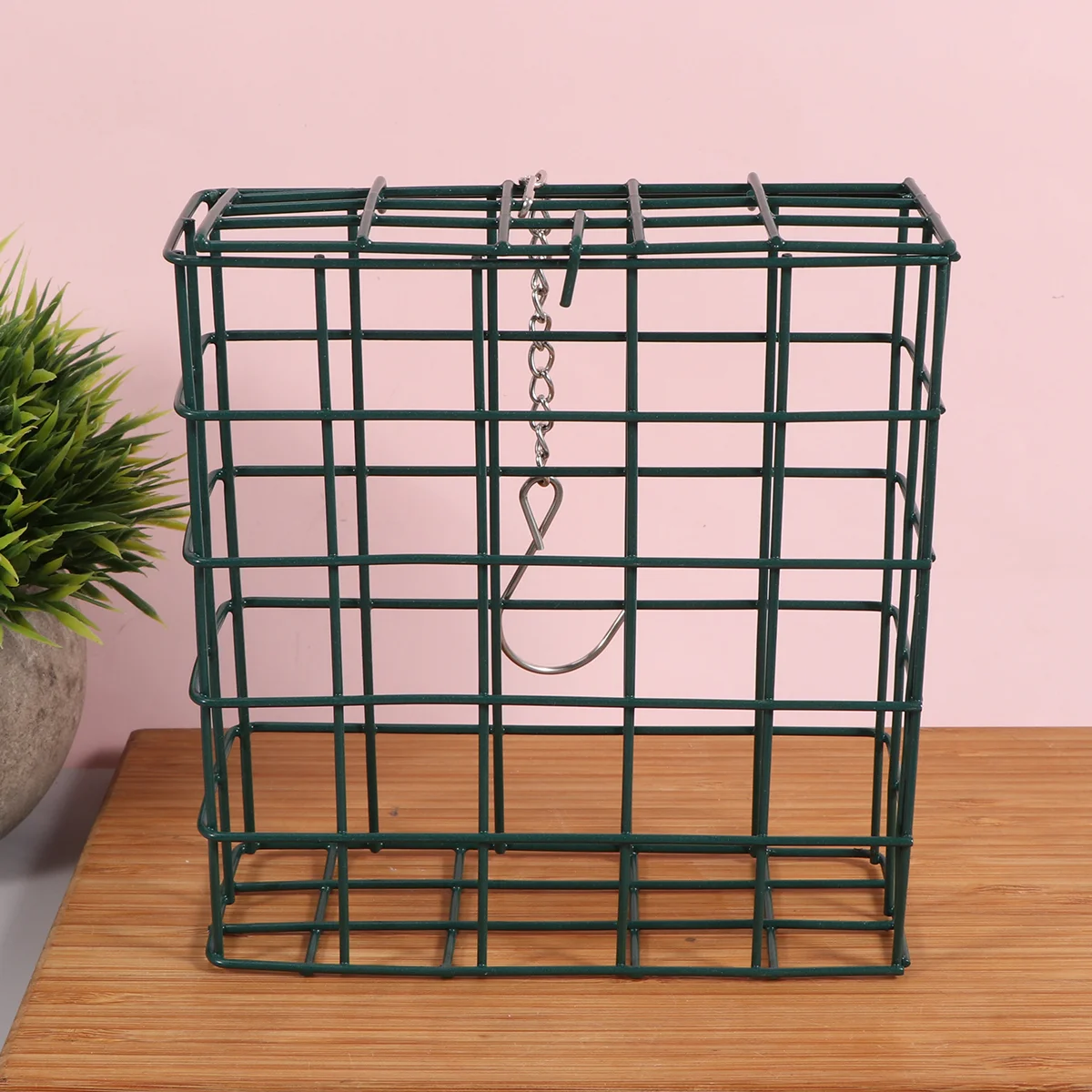 Hanging Bird Feeder Hummingbird Outdoor Agapornis Accessories Station Feeders Squirrel