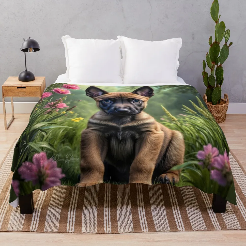 Зельда бельгийский малинуа щенка портретное художественное одеяло теплое для