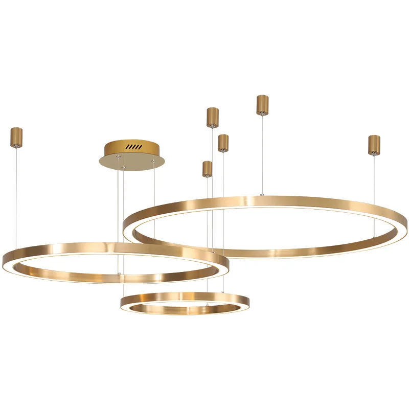 

Modern Simple Design Acrylic Ring Pendant Light Lamp Hanging Multi-circular LED Circle Ring Chandelier