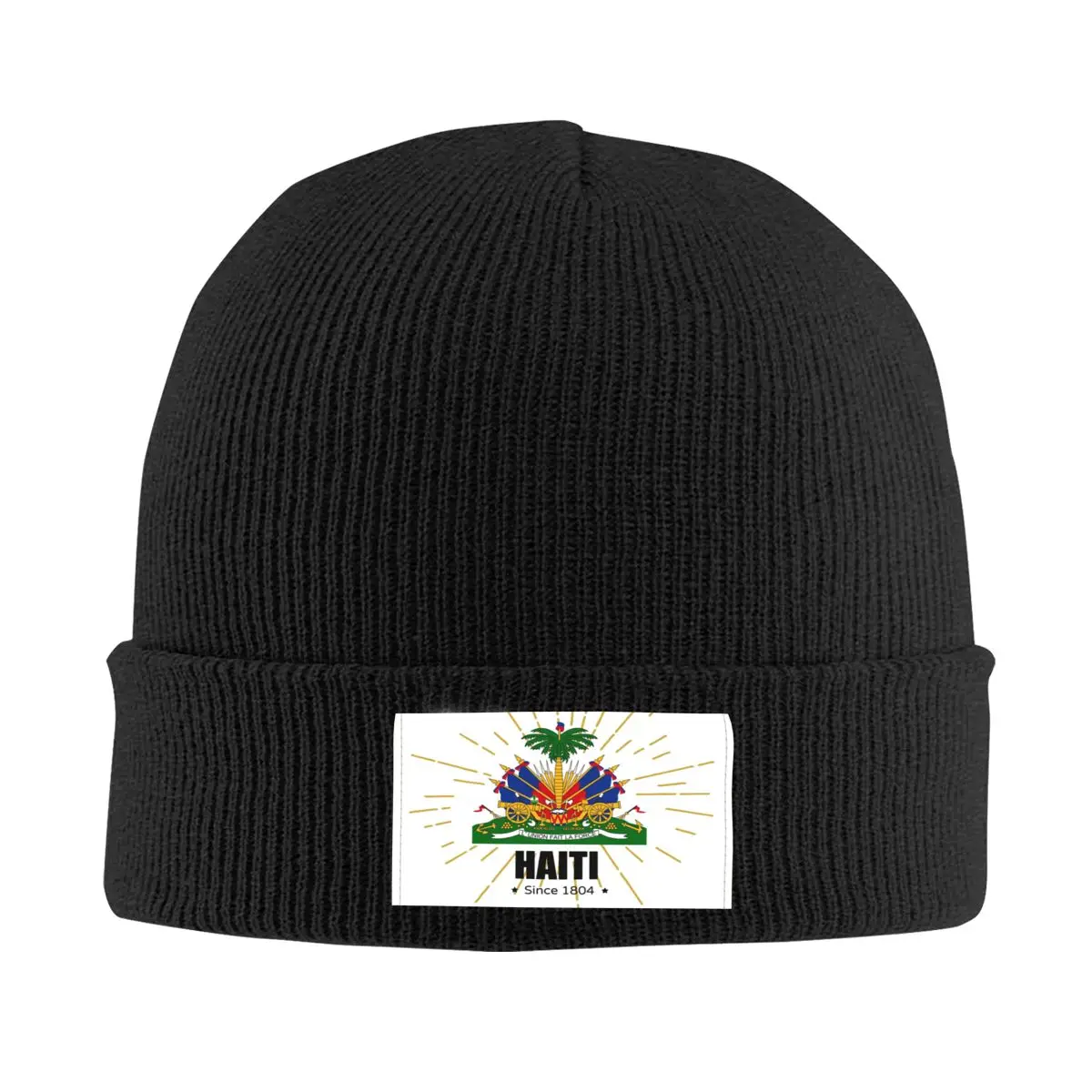 Haiti Since1804 Coat Of Arms Bonnet Hats Street Knit Hat For Women Men Autumn Winter Warm Skullies Beanies Caps 1
