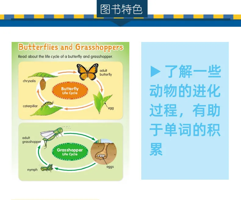 Оригинальные книжки оценки на английском языке Эван-Мор точилка для навыков