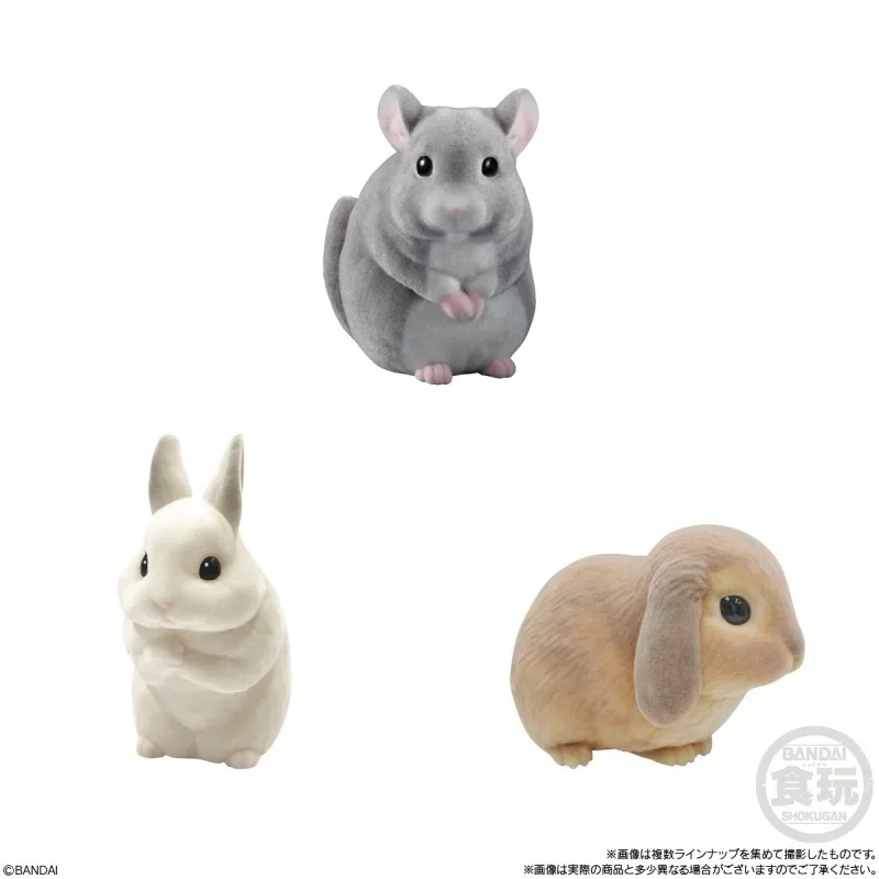 Bandai Shokugan Genuine 8 шт. غ doświadcz rahat・피ות prata teksto 보호 Makanan2 않는festaモンă вместе 건ン Xo frou