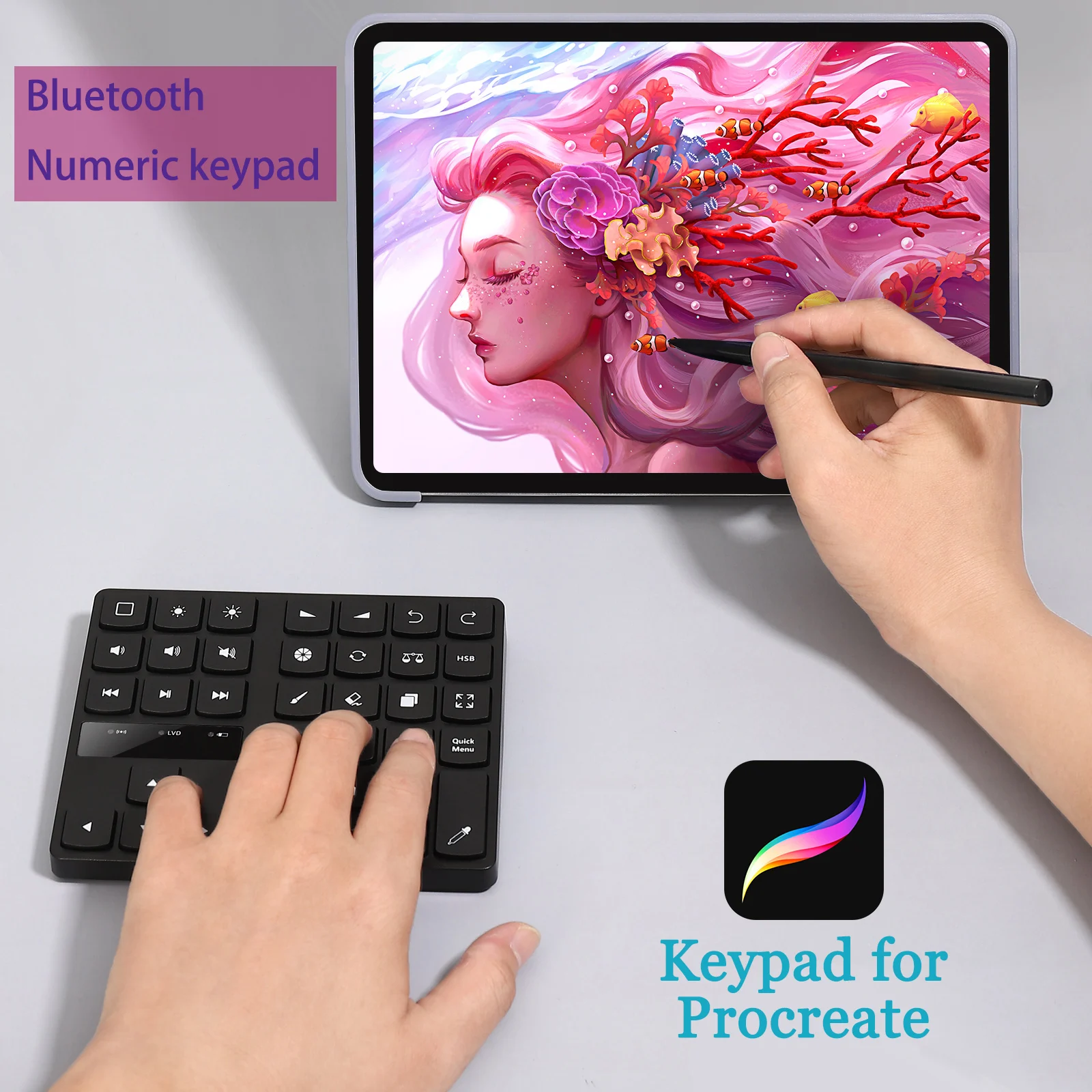 

Bluetooth Numeric Keypad Rechargeable Wireless Mini Keyboard Compatible Drawing Digital Procreate Keyboard for Mac OS & IOS