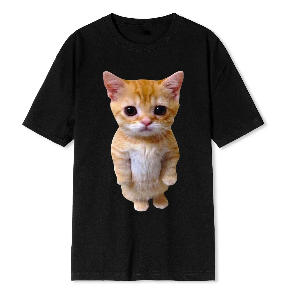 Уличная одежда большого размера модная футболка с принтом El Gato Meme sadcry Cat Munchkin