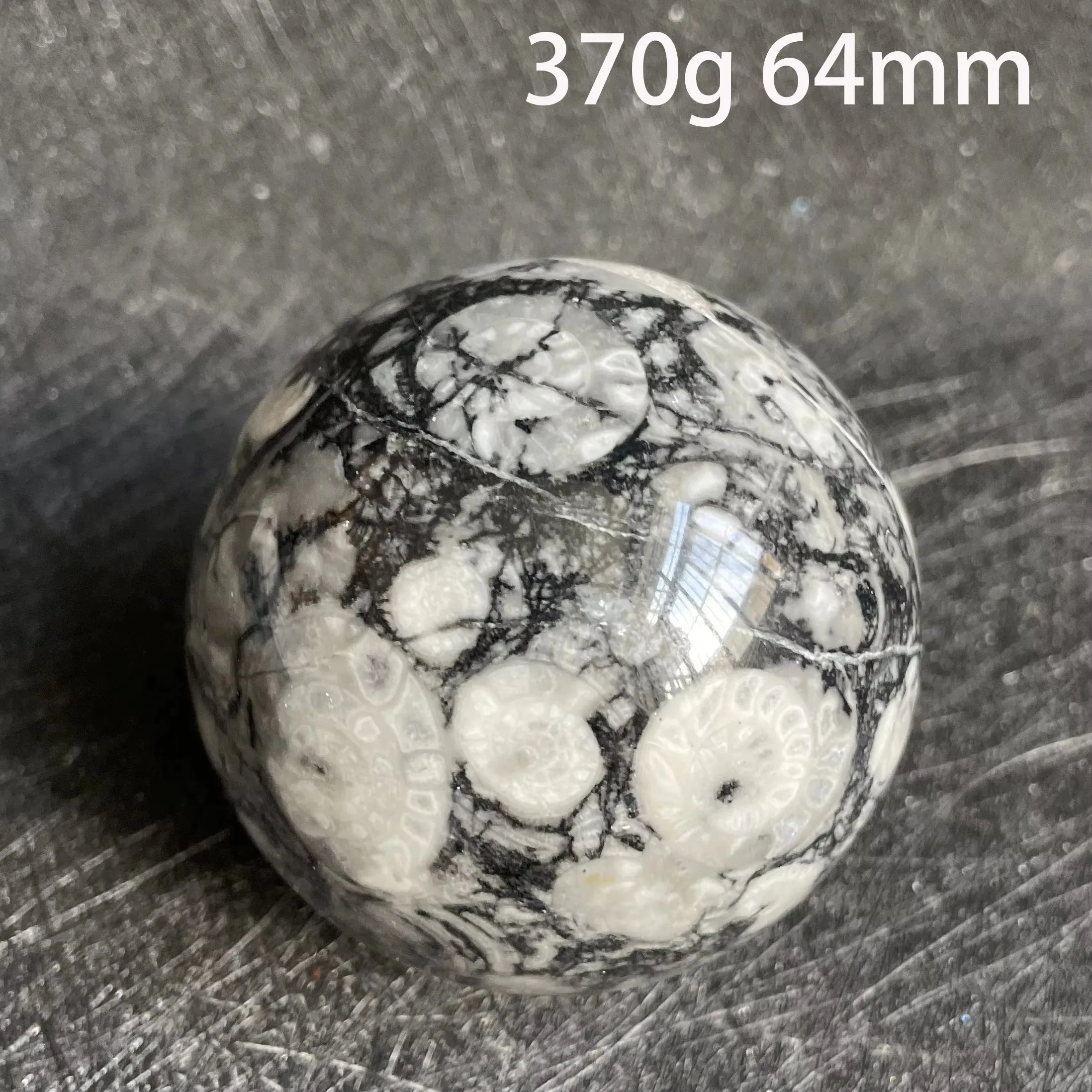 

Хрустальный шар аммонит