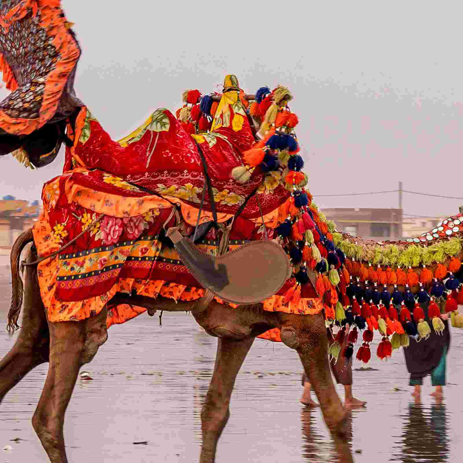 Контейнер для воды в старинном стиле Wineskin