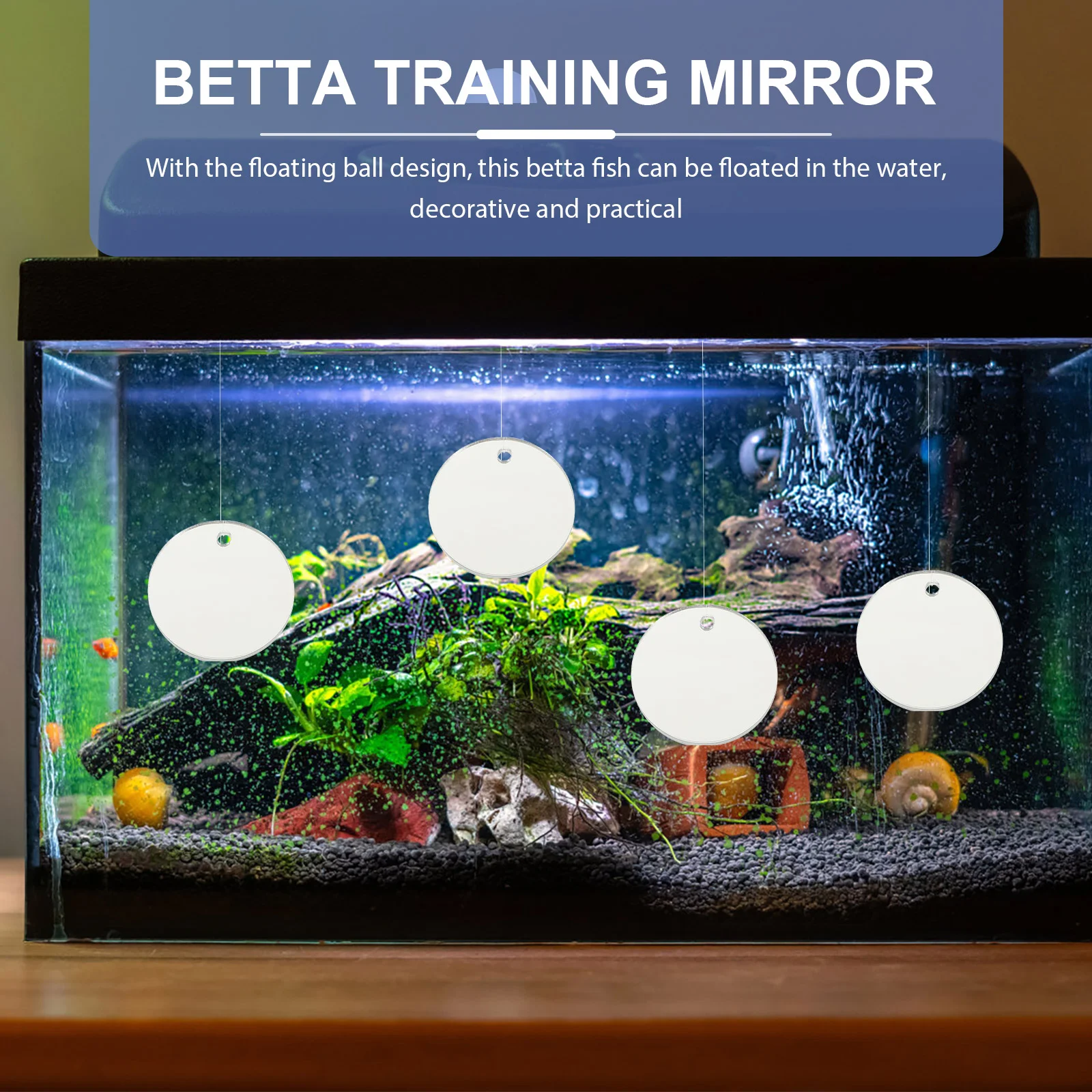 

Betta Mirror Tank Toys Decor Training Decorations Side Single Supplies Toy Exercise Sucker Floating Mirrors Decorative Fighting