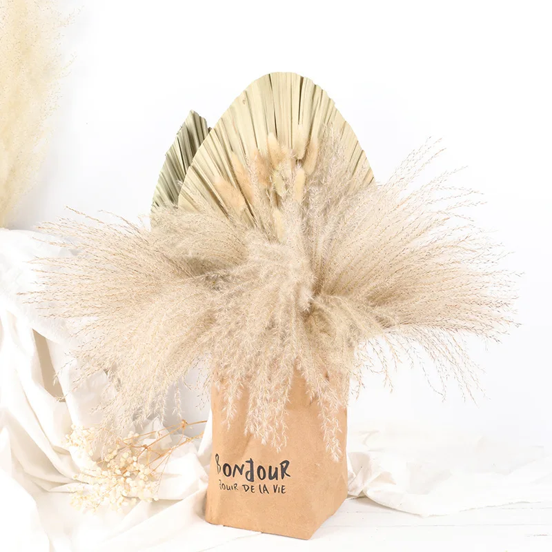 

1Set Pampas Grass Decor 20-40cm Wedding Supplies Natural Dried Flowers Arrangement Home Living Room Decoration Accessories