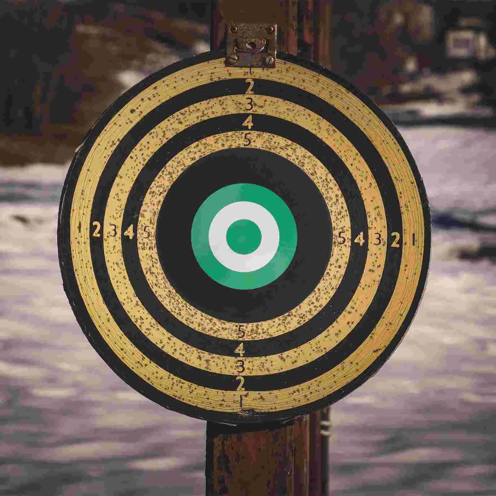 

Target Archery Bow Outdoor Moving Practice Training Round Dart Protection Wall Board Shooting Targets Hunting Eva Travel