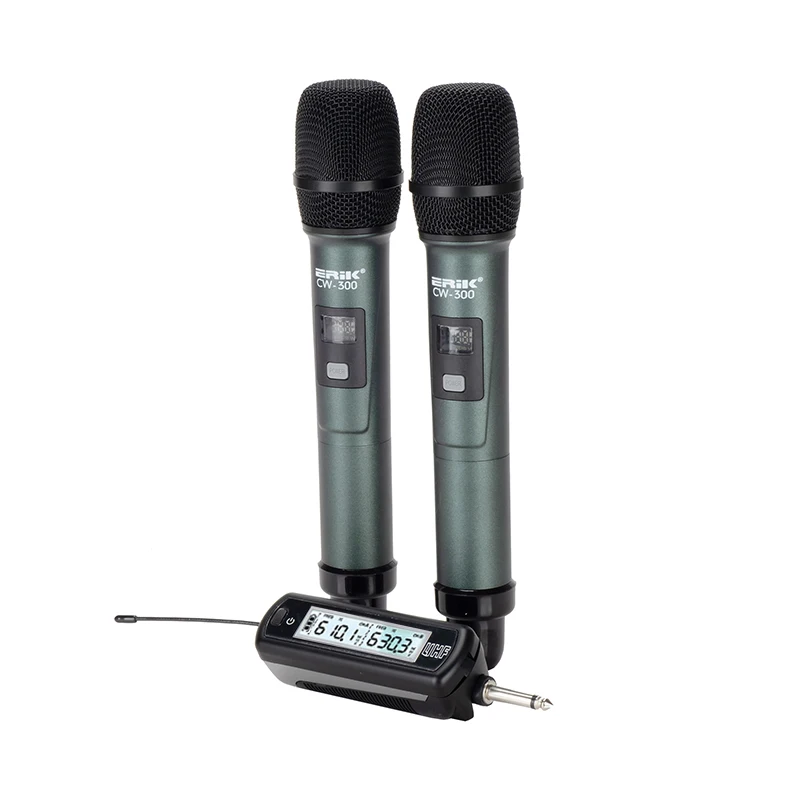 

Erik CW300 Professional singing live musical instrument playing road show conference speech Wireless mobile microphone microphon