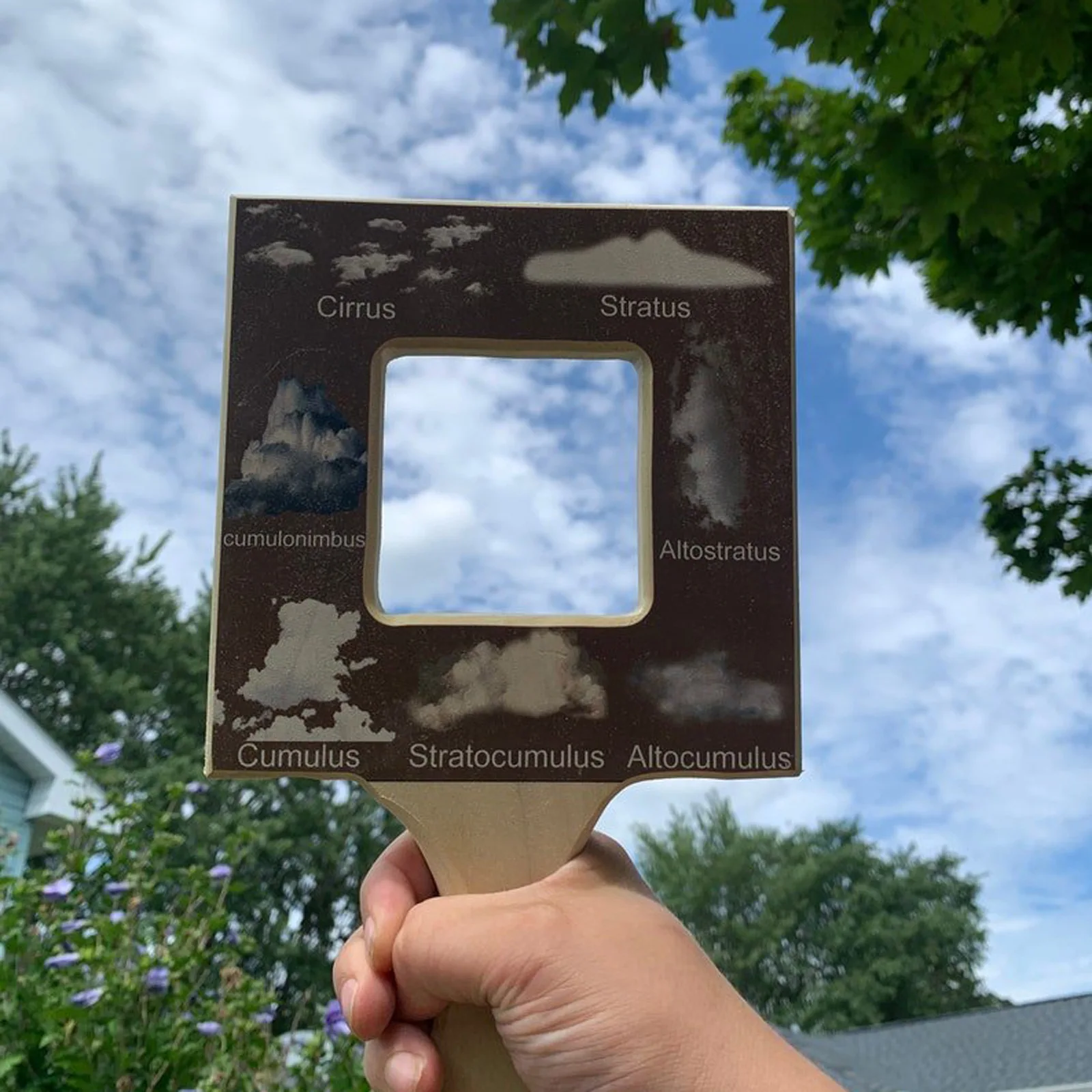 Nature Guide Finder Leaf Finder