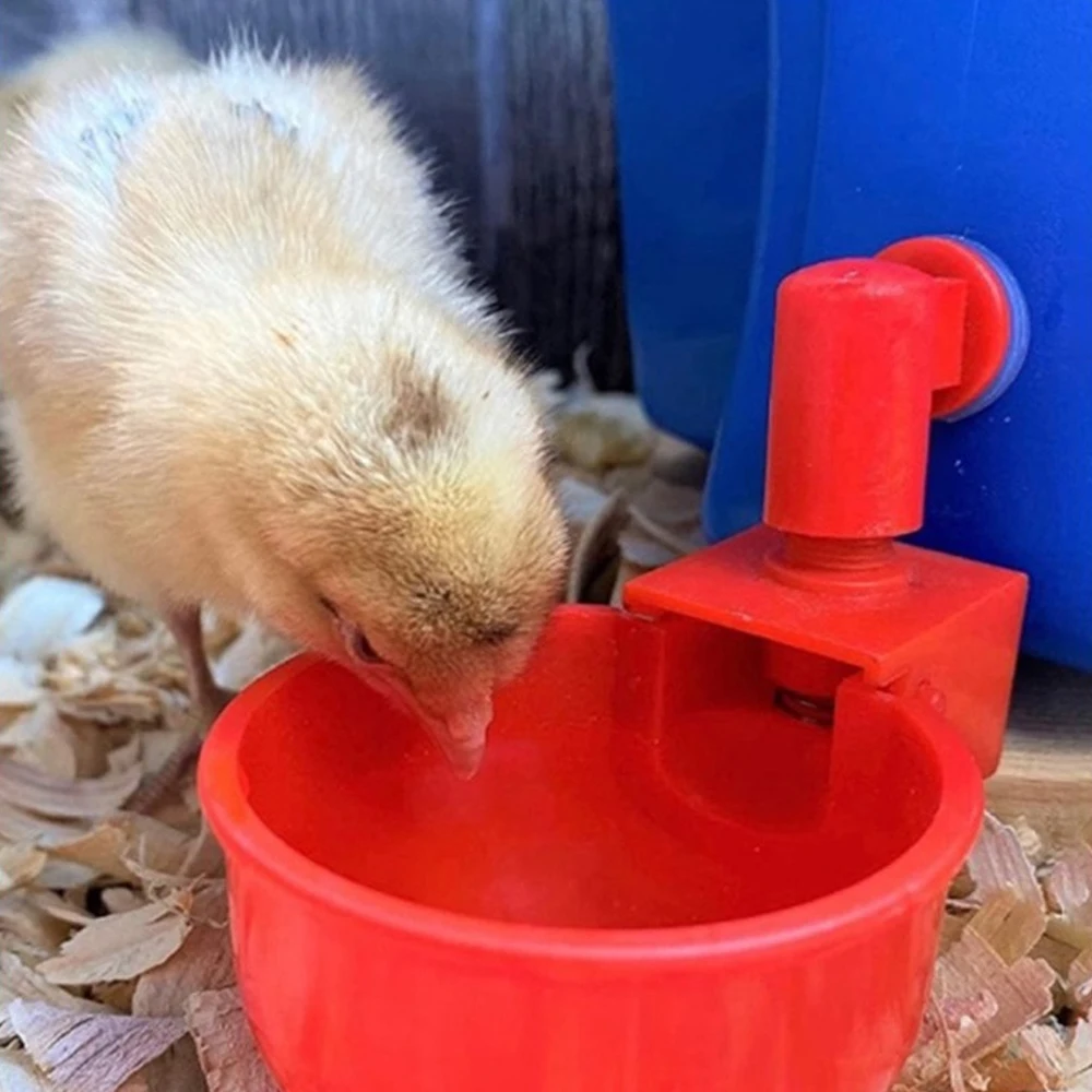 Автоматическая поилка для цыплят набор из 6 поильников птицефермы