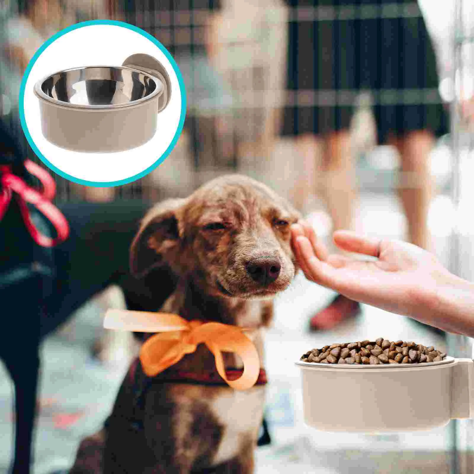 

Bowl Pet Feeder Bird Water Cage Dog Dish Feeding Hanging Basin Cup Crate Drink Holder Chinchilla Puppy Animal Bows Removable