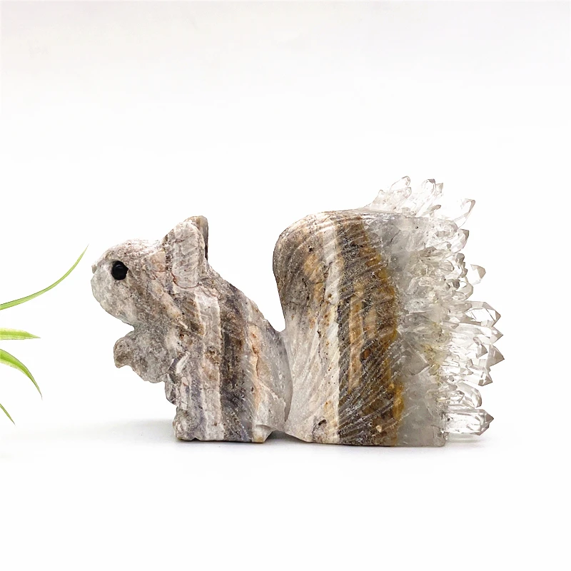 

Милая натуральная кристаллическая прозрачная кварцевая кристальная кластерная белка статуя вырезанная вручную Исцеление домашний декор фигурки животных
