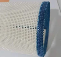 customized polyester square mesh belt drying grid food conveyor belt