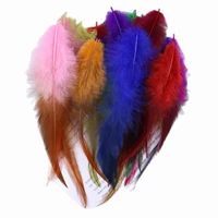 wholesale multi color rooster feathers saddle plumage natural chicken plume decor for needlework fly tying accessories crafts