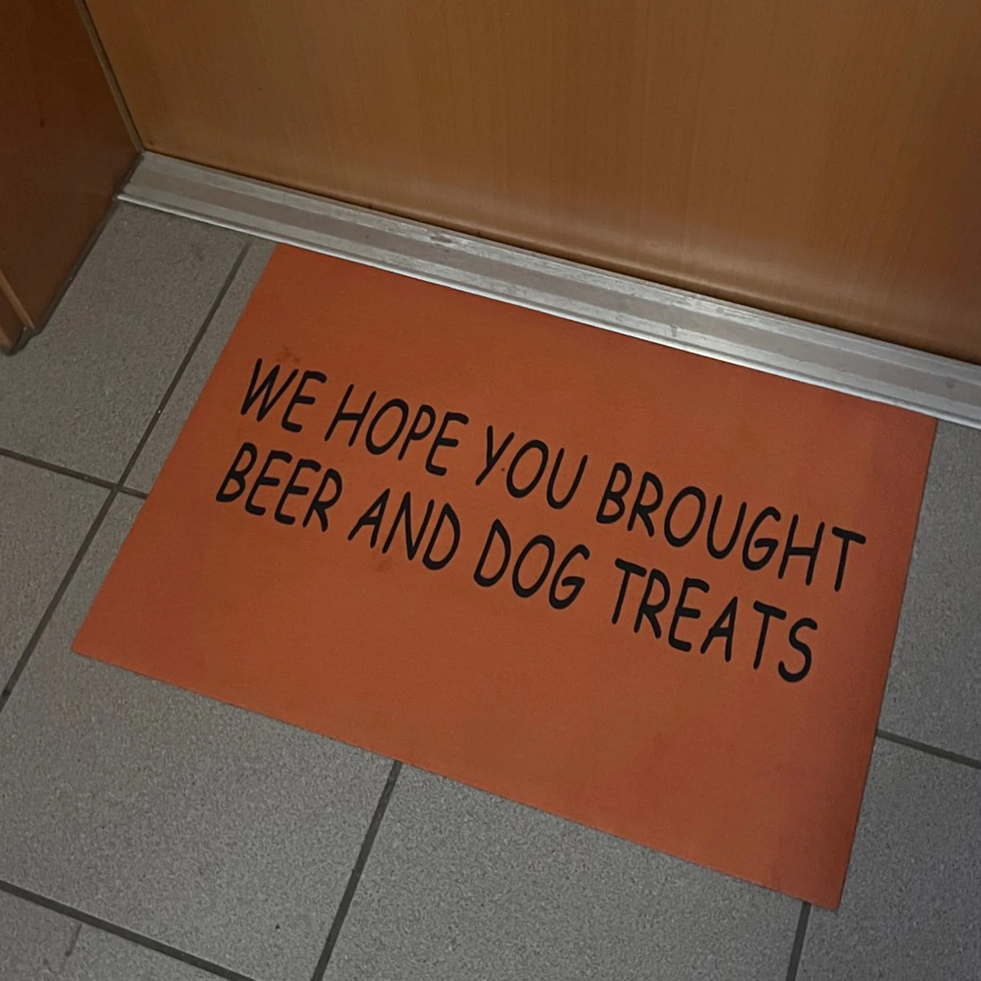 

Funny doormat for entrance outdoor door mat Anti-slip Rubber backing 40x60cm doormats, WE HOPE YOU BROUGHT BEER AND DOG TREATS