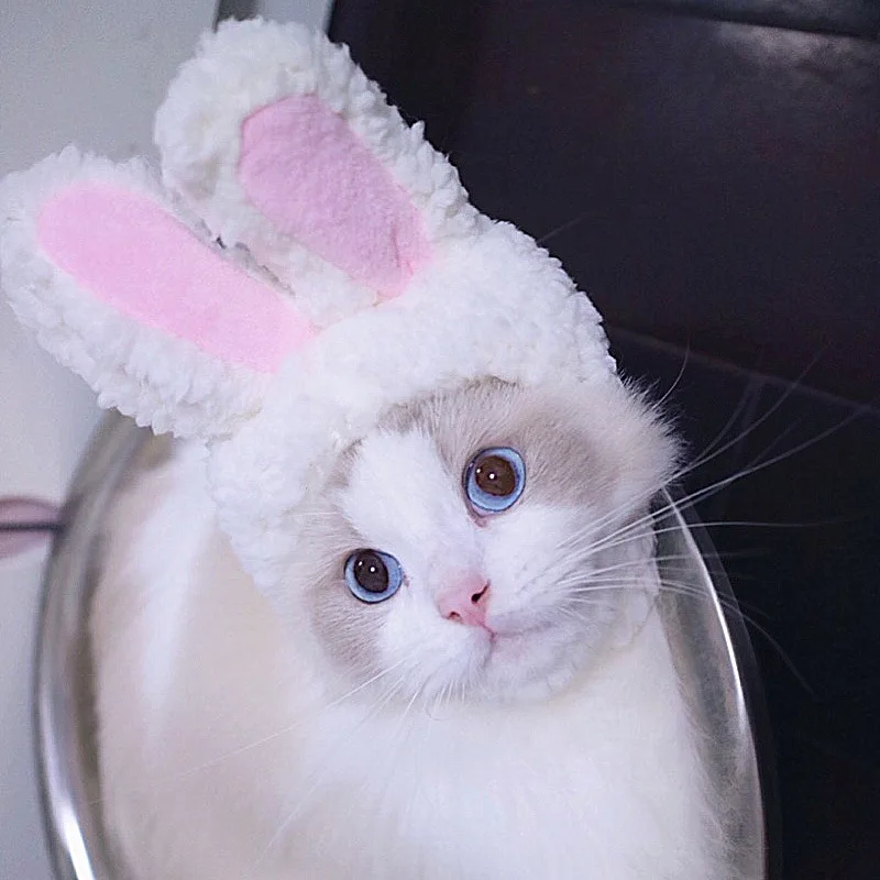 Забавная Кепка для домашних животных собака кошка костюм плюшевые ушки кролика