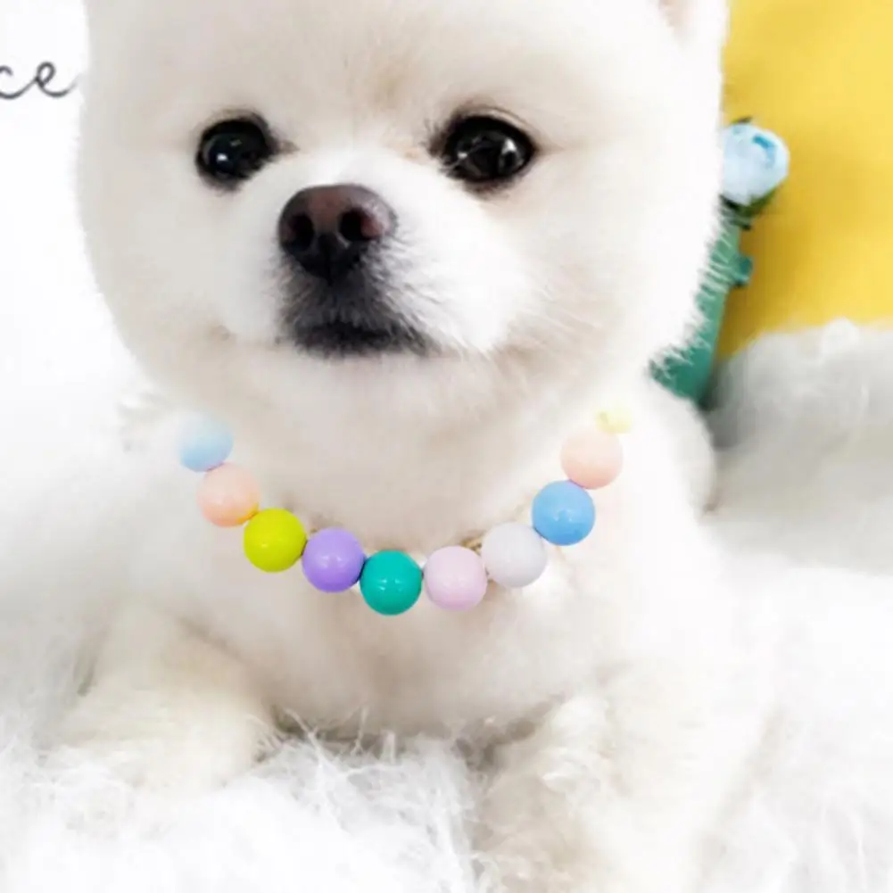 

Plastic Fashionable Colorful Beads Cat Necklace Multifunctional Pet Cat Necklace Nice-looking for Daily Life