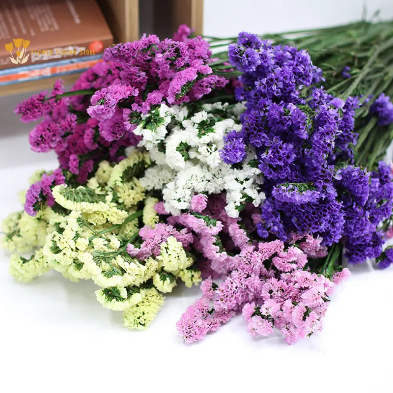 

Dried Natural Forget Me Not Flower Wedding Centerpieces for Tables Preserved Flowers Lover Grass Bouquets Home Decor Accessories