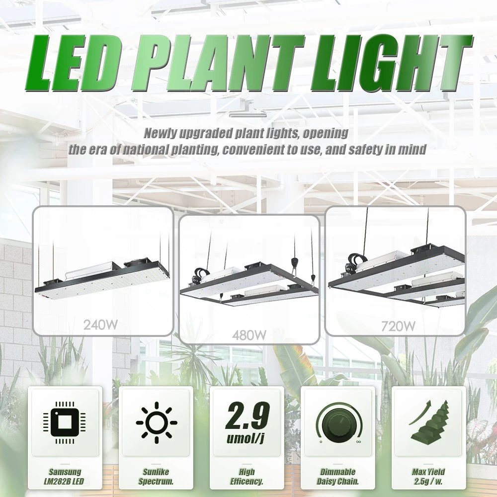 240/480/480/1000w Full Spectrum Phytolamp For Tent Greenhouse Plant Seeds Veg
