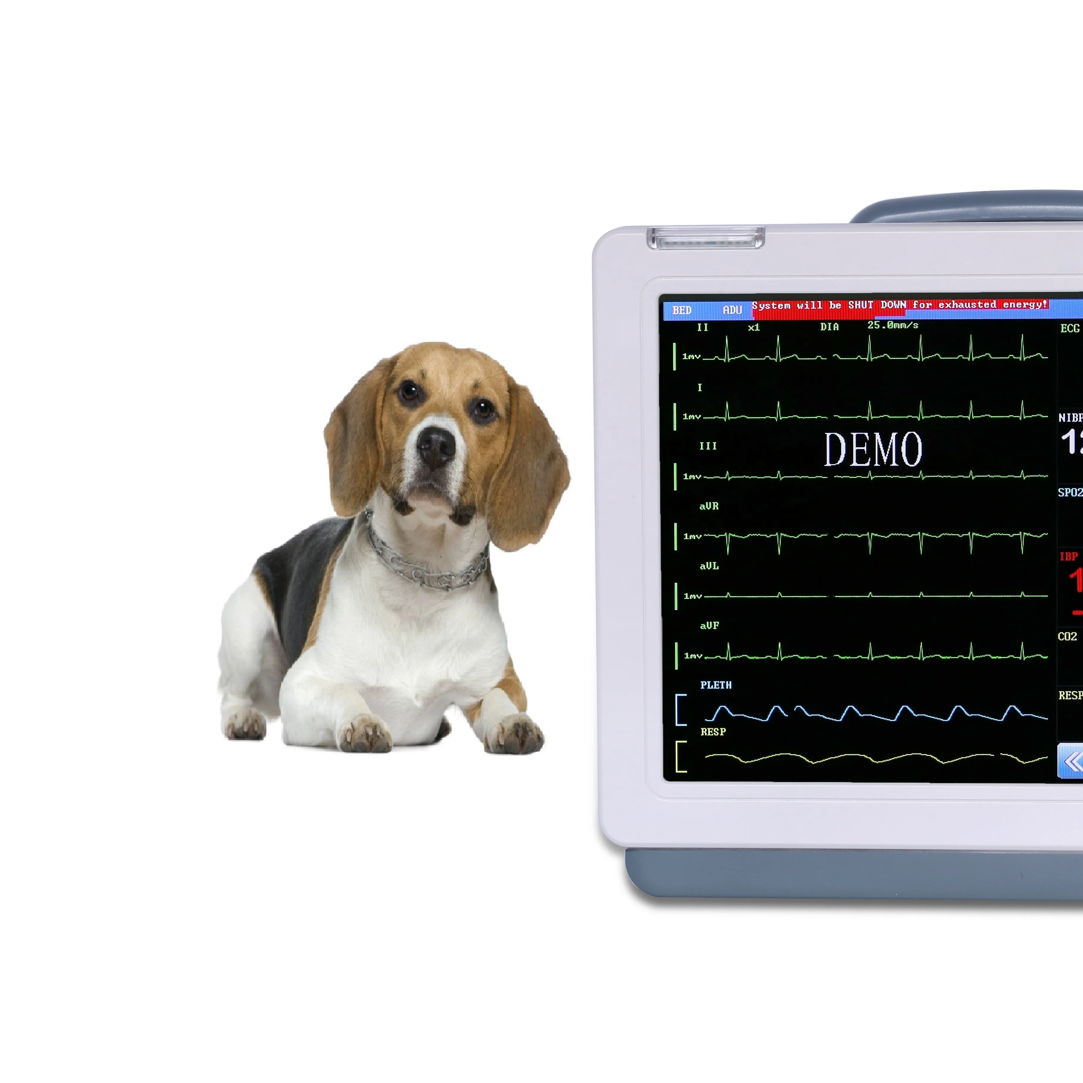 1.13.2 _ оригинальная заводская цена экономичный ветеринарный