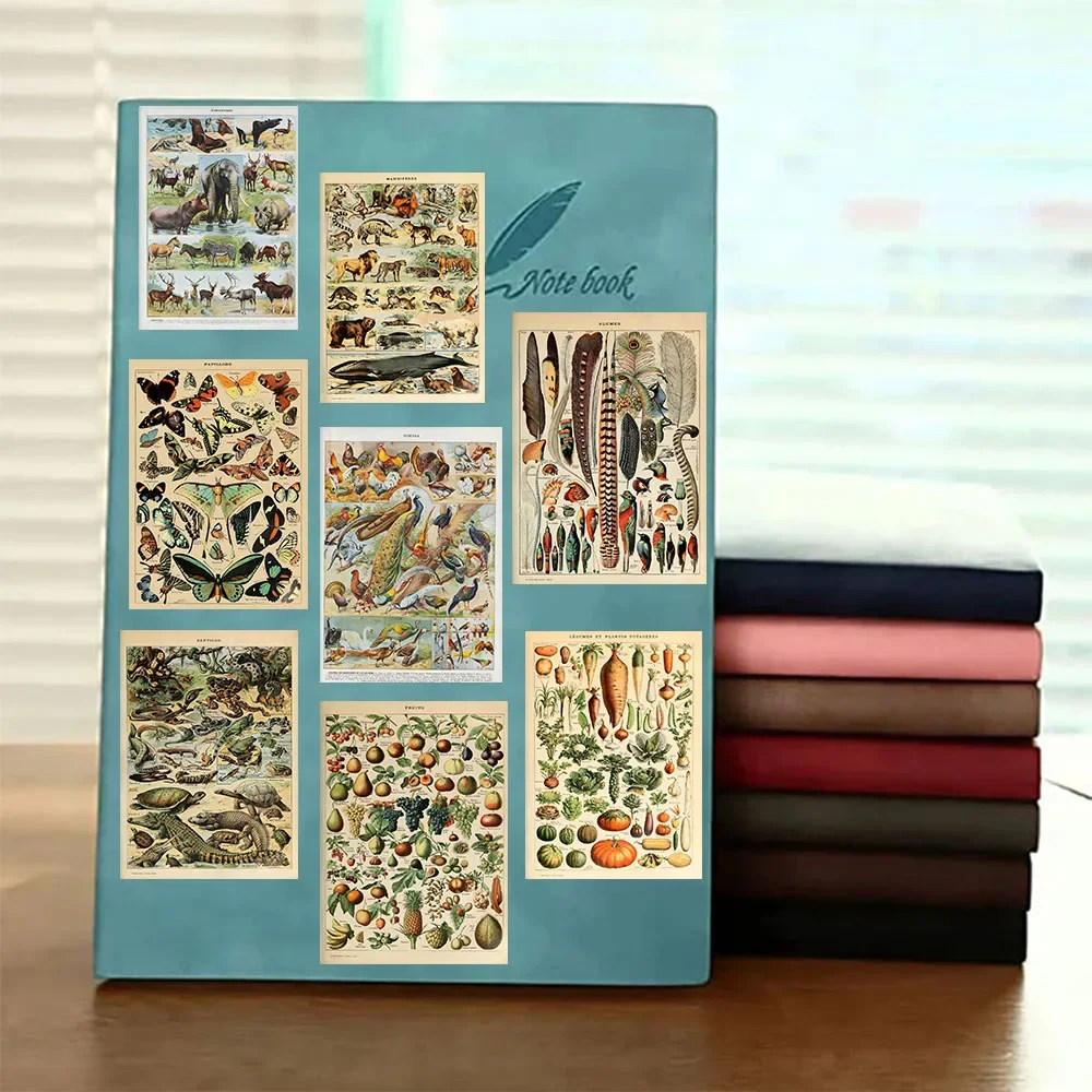 25 плакатов с иллюстрациями растений листья цветы ноутбуки мобильные телефоны